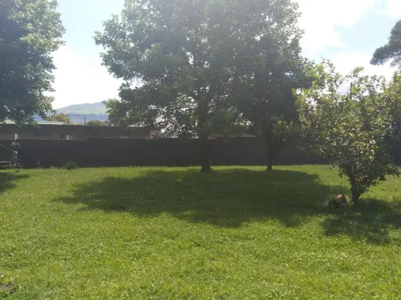 Thatched roof 4 bedroom house air-conditioned