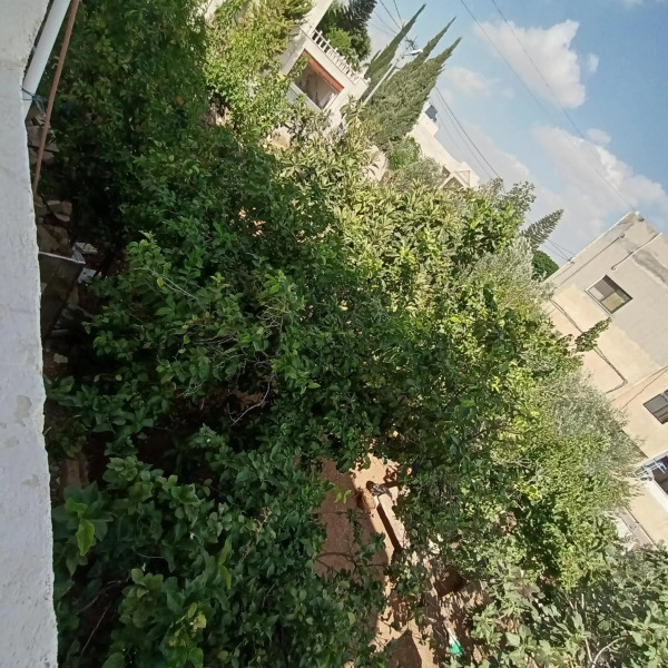 Furnished apartment for rent in jarash شقة مفروشة للإيجار في جرش