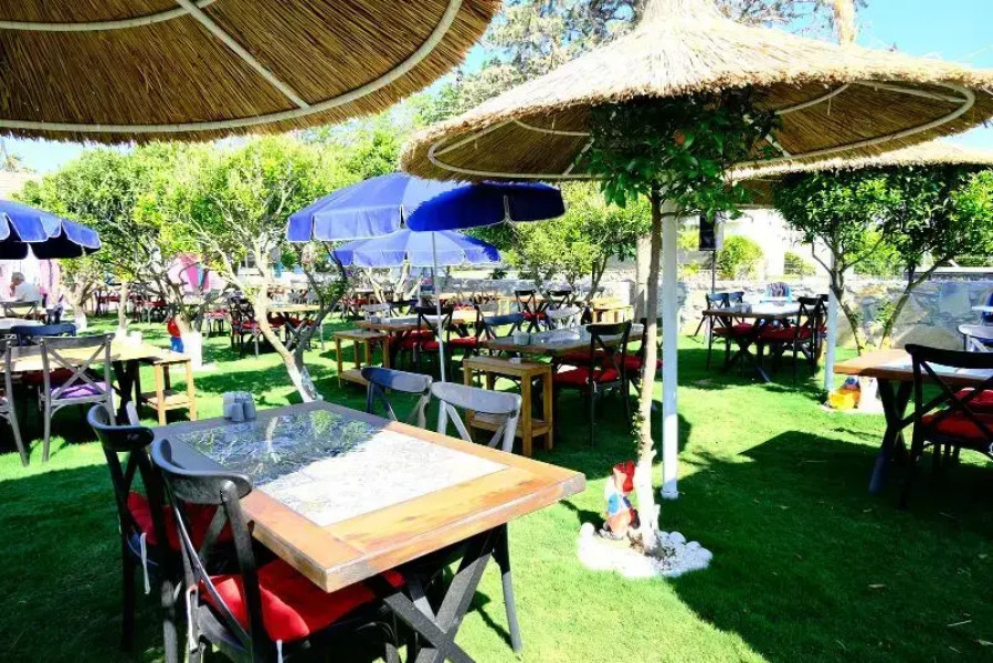 Mi̇ya Garden Ti̇ny House