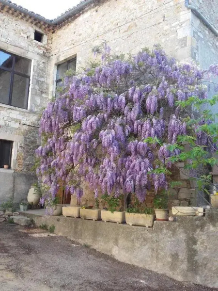 Petit appart dans dépendance château Salavas