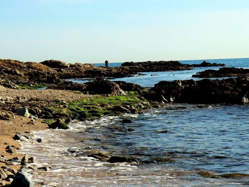 Tidy Appartment With Dishwasher and AC, 10 km From the Beach