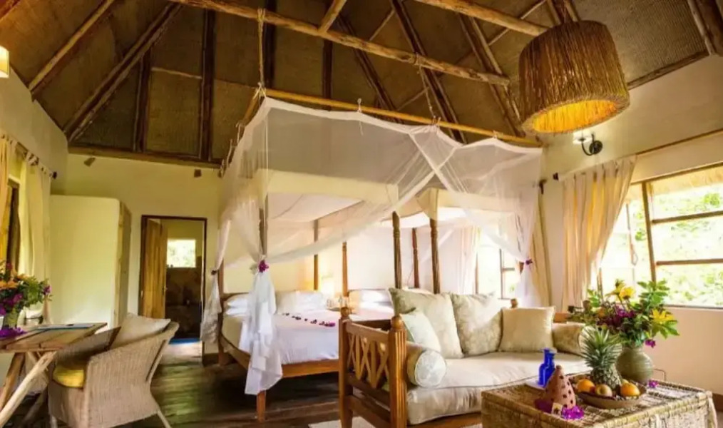 Bwindi Safari Lodge