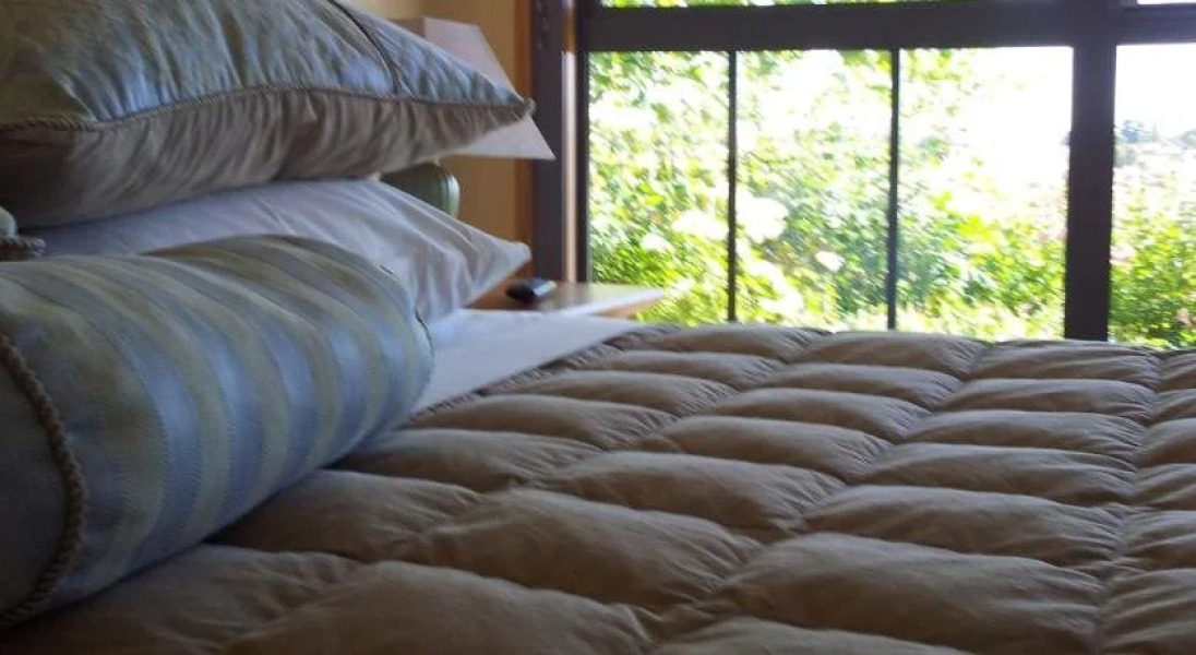 Hawkdun Rise Vineyard & Accommodation