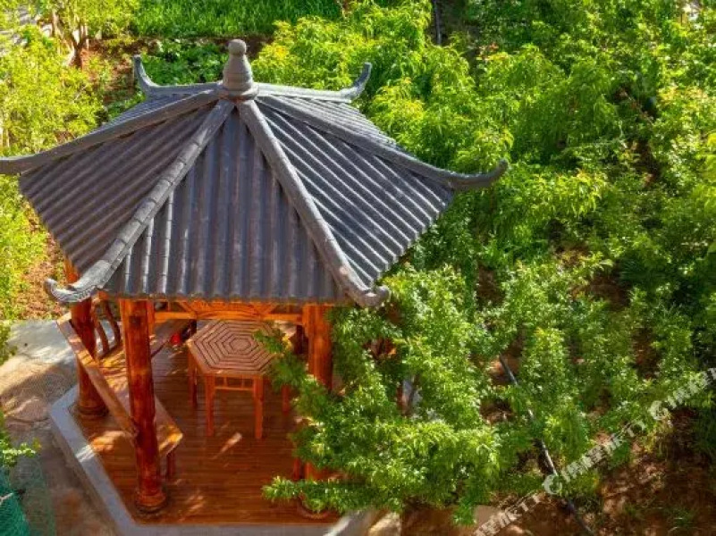 Shapotou Xinsha Framstay