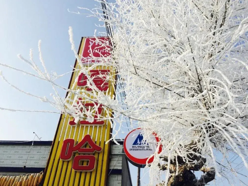 Galaha Int'l Youth Hostel JL Rime Island