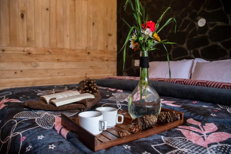 Forest Escape Cottages