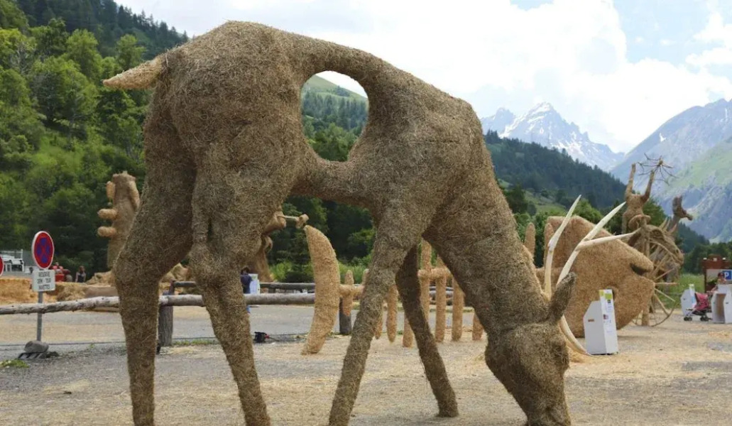 Thymel N°18 : Studio Cabin 3 Personnes / Studio Cabin 3 People