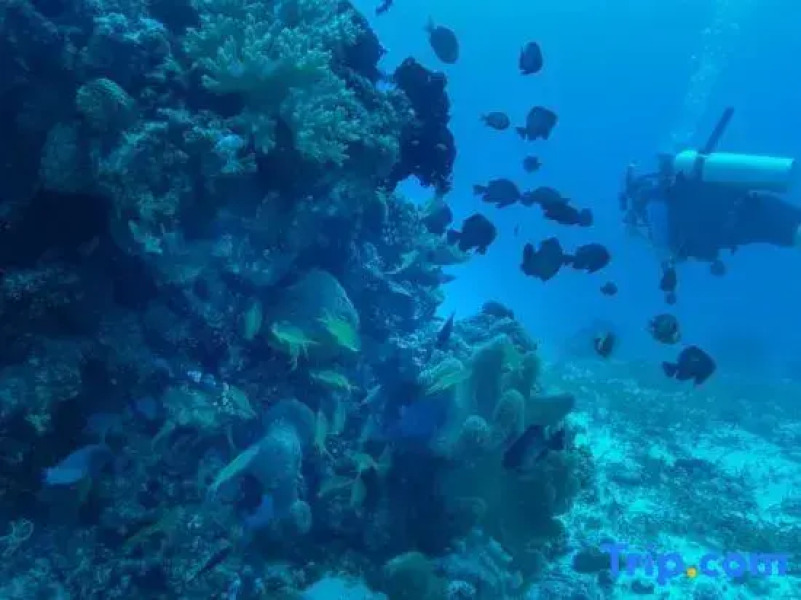 RedDoorz at Homa Resort Hotel