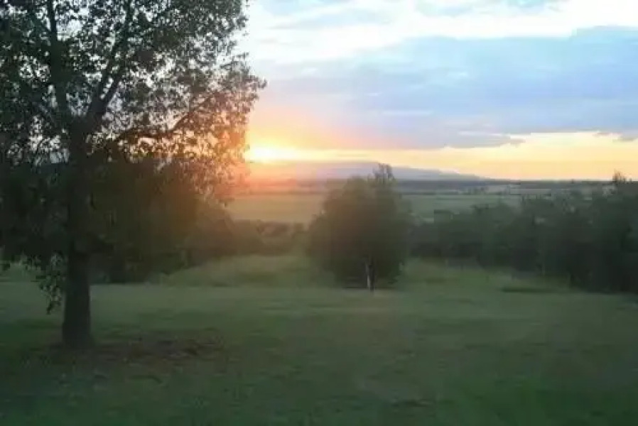 Trefolly Olive Cottage