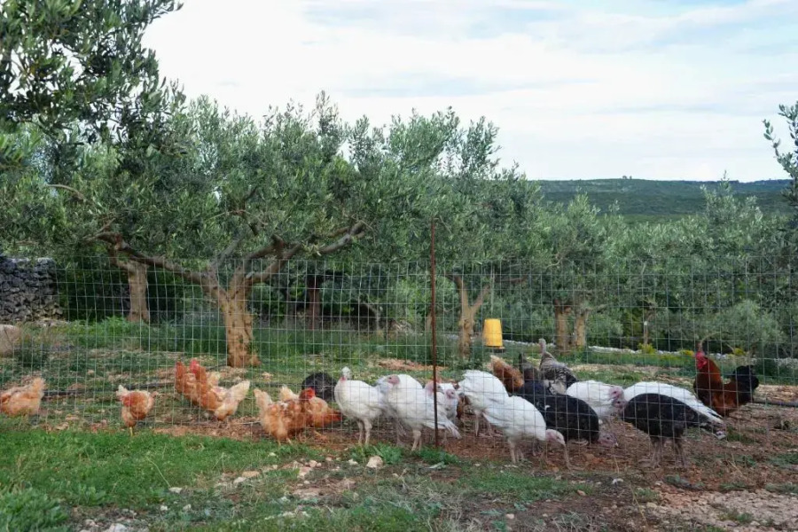 Holiday Home Sweet Dreams