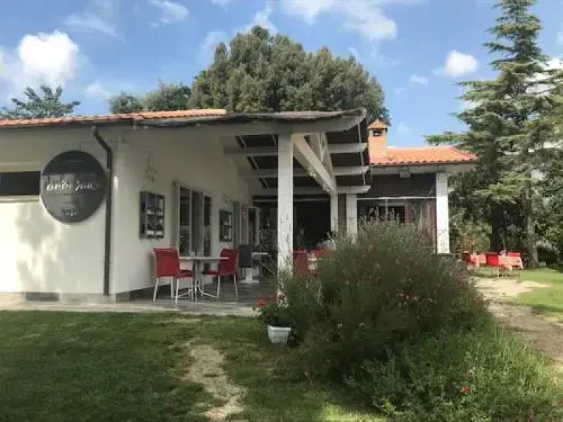 Fattoria il Duchesco