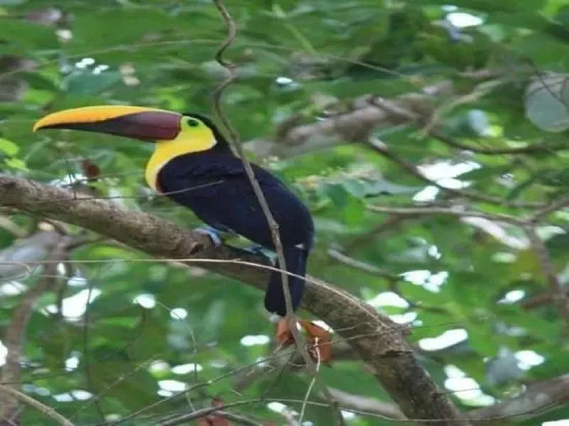 Tierra Magica Apartments