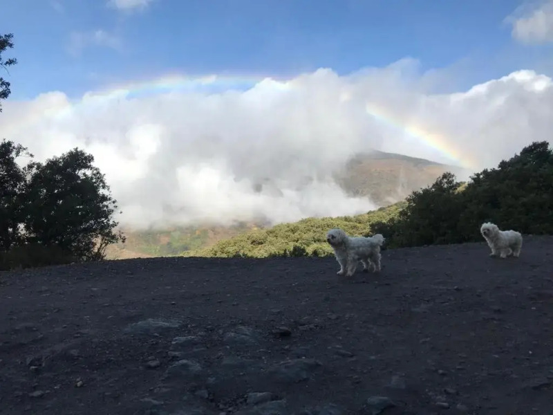 Cortijo en Bubion "Casa Ibero" Slow Alojamiento turistico rural VTAR GR 00516/ 00555