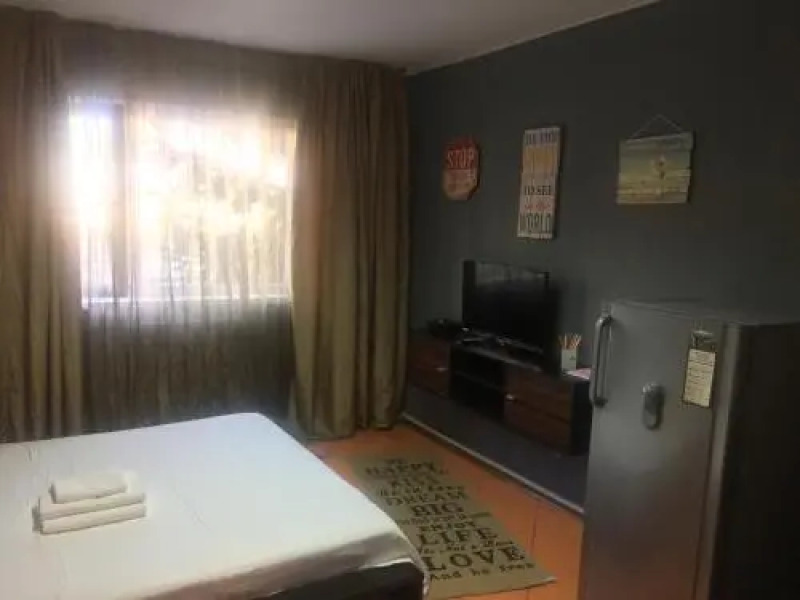 Lions Studio Dristor