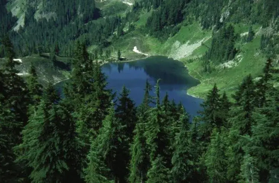 Sol Duc Hot Springs Resort