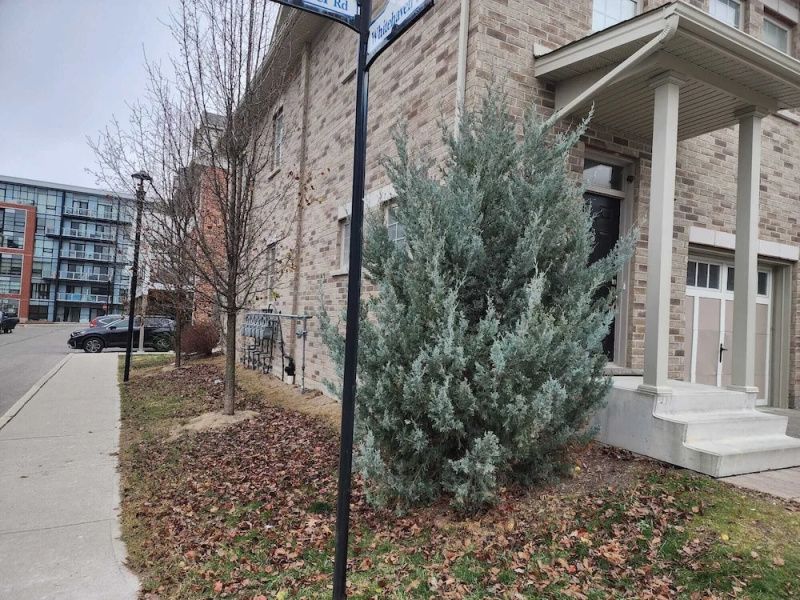 Beautiful Three Bedroom House