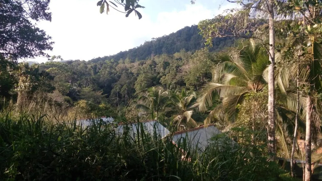 Sinharaja Rainforest View Villas