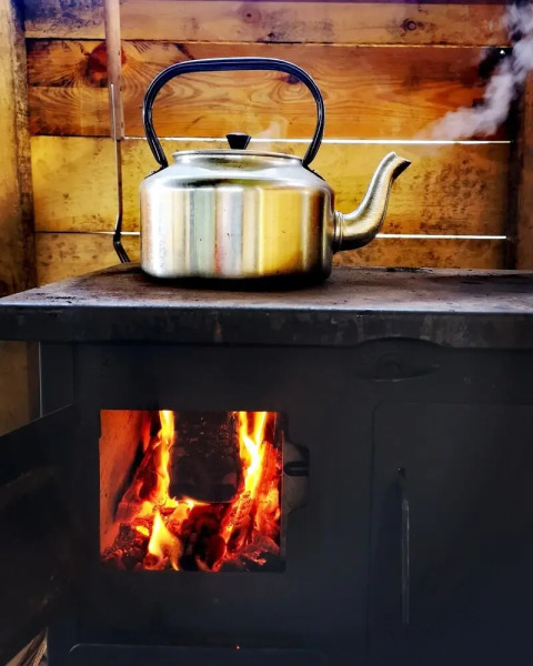 Balloch O'Dee - Bluebell