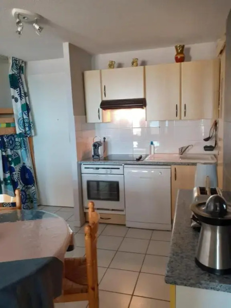 Les Goélands de l'Océan