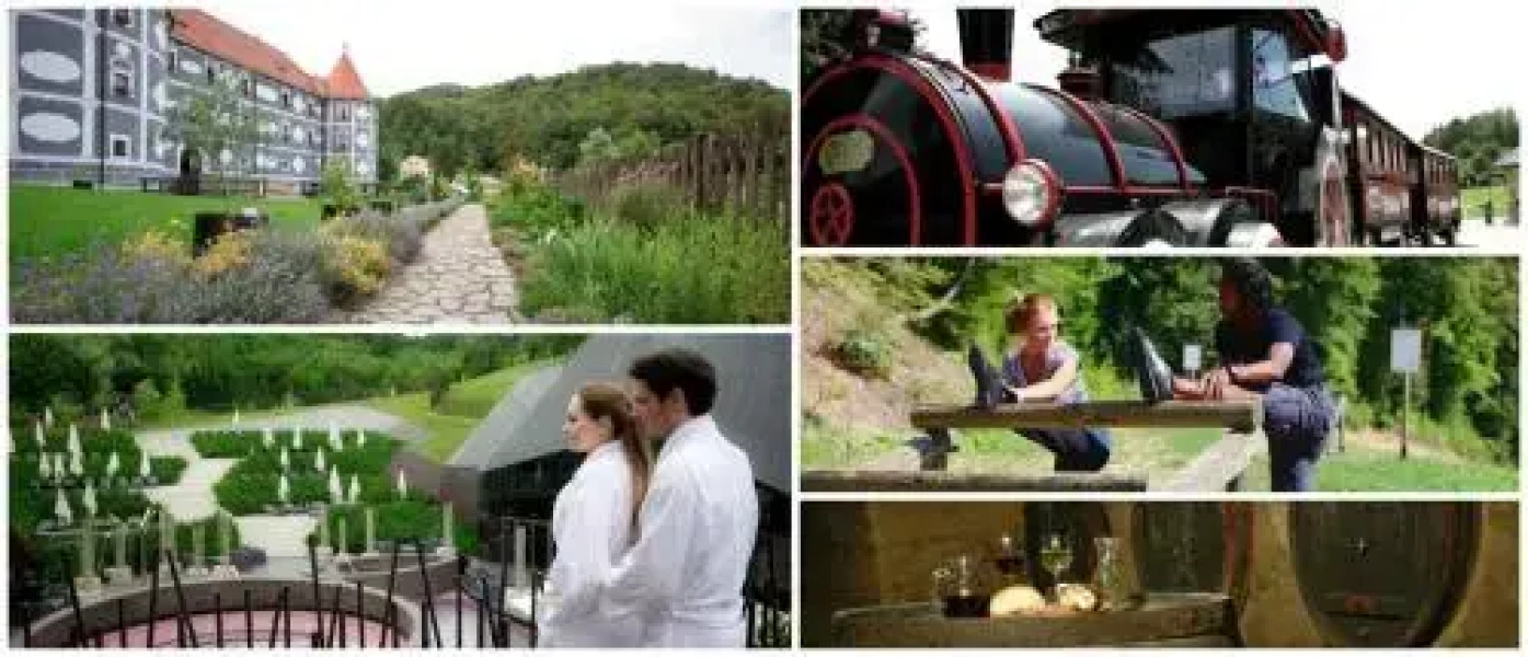 Čebelarjeva hiška - Terme Olimia - Podčetrtek