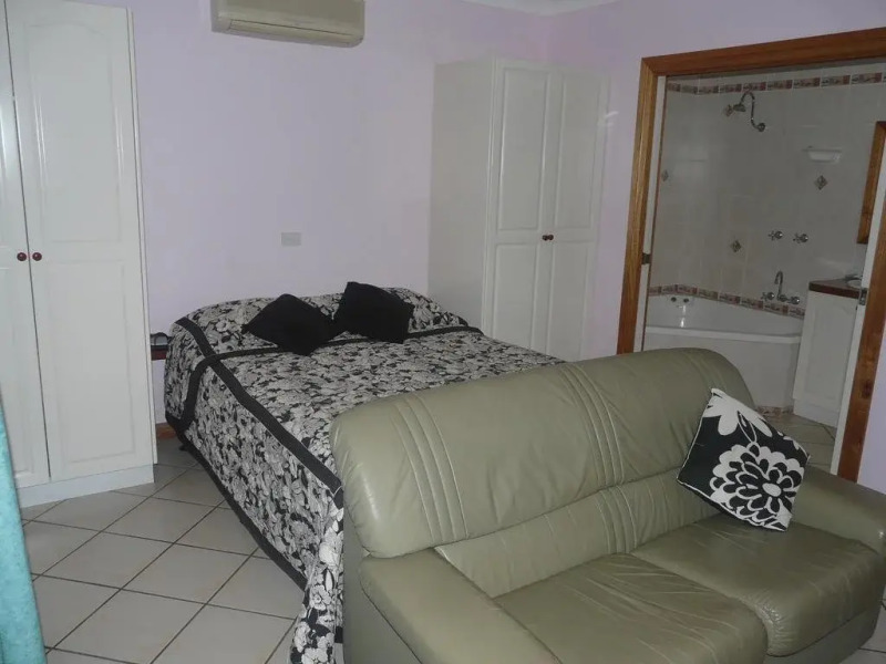 Curtain Fig Tree Motel