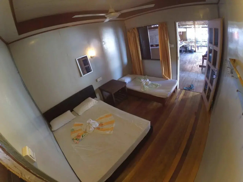 Seahorse Sipadan Scuba