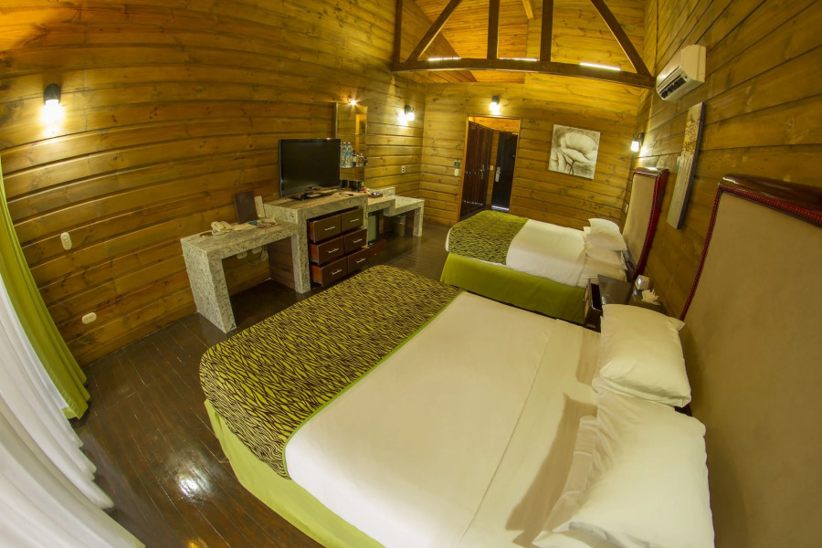 Baldi Hot Springs Hotel and Spa