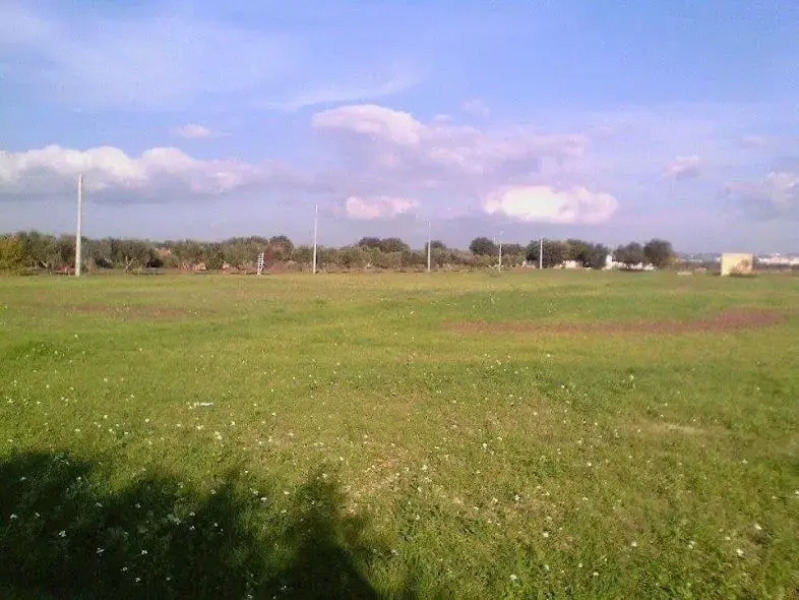 La casa in campagna di Ottavia