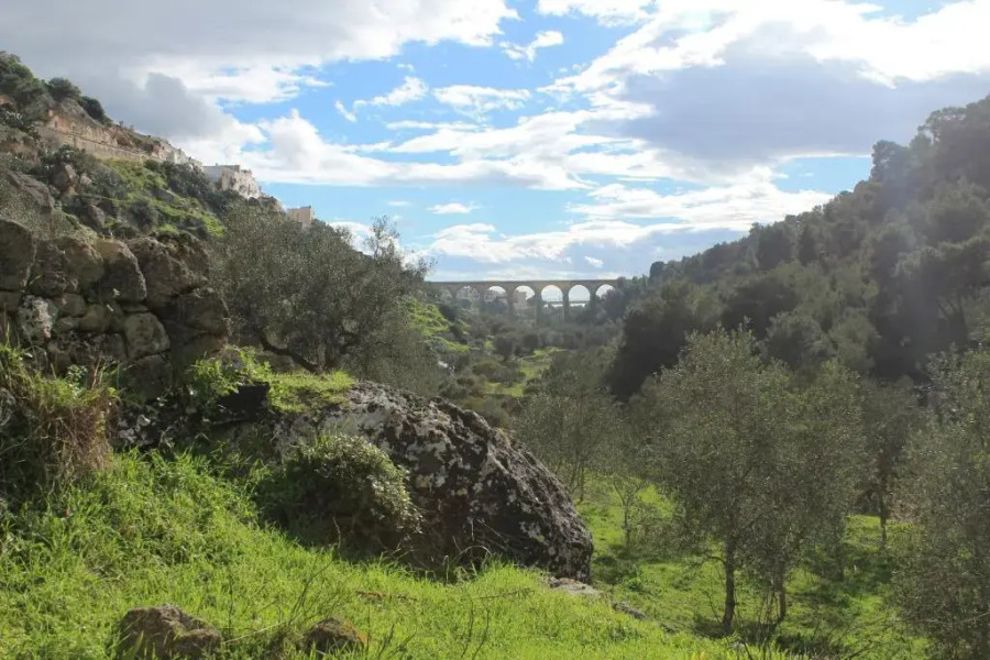 Suite per famiglie"Civico 65"