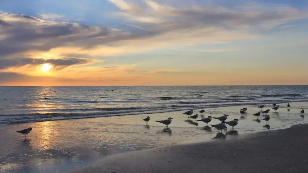 Madeira Bay Resort by Teeming Vacation Rentals, Madeira Beach