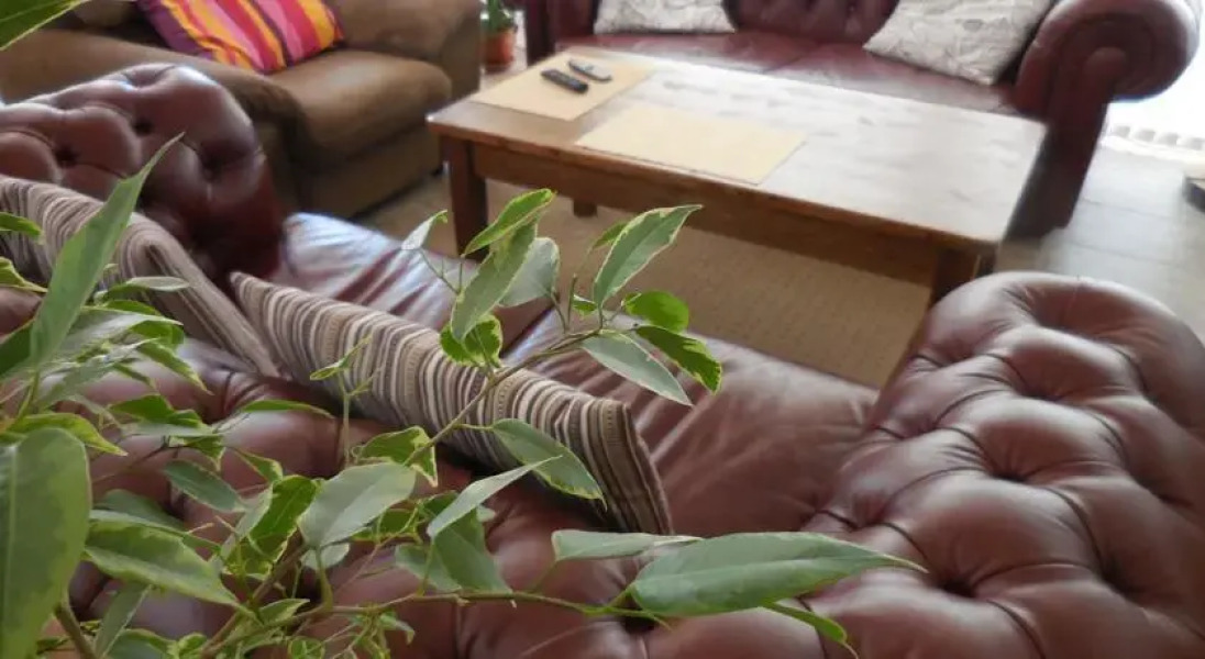 Tabashko Tarn Guest House