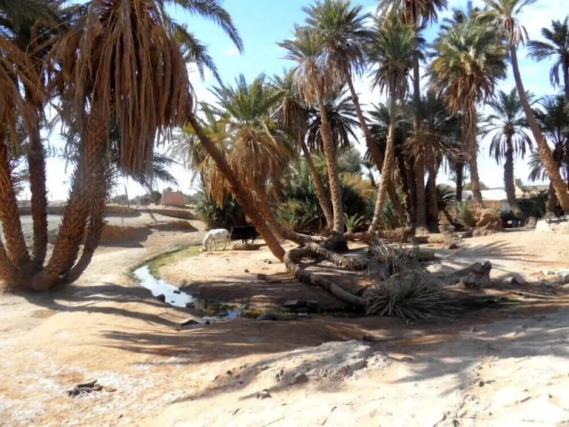 Bivouac La Dune Blanche