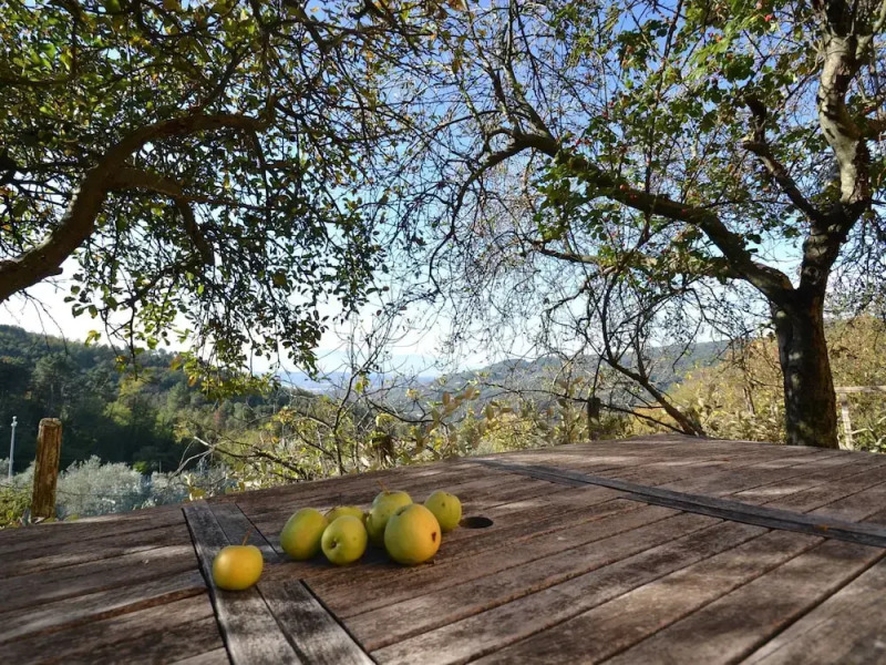 Spectacular Holiday Home in Pescia With Swimming Pool