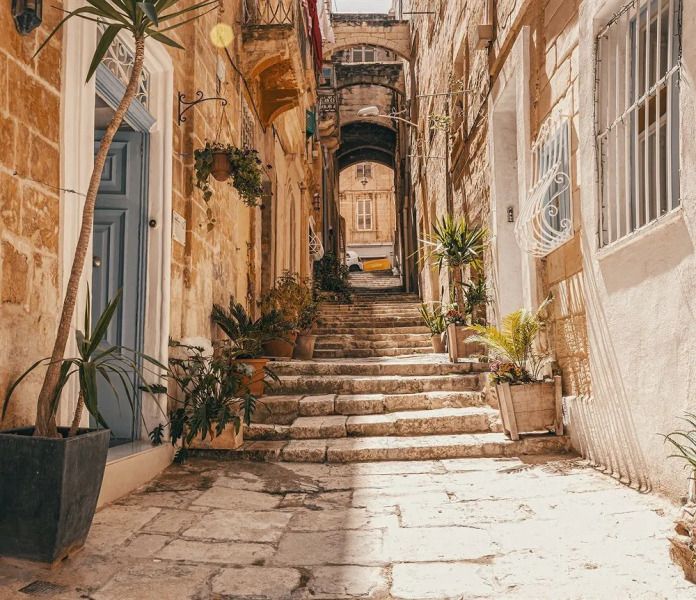 Cornelius Valletta Properties