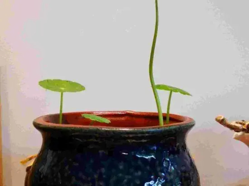 qujingkezhan