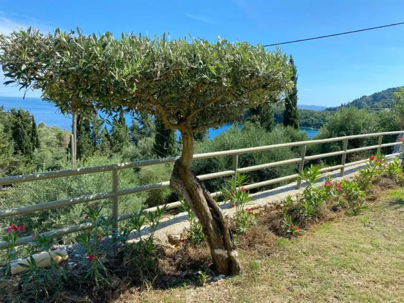 Paleopetres K-Two - Premium Double Suite Double - Kalami -