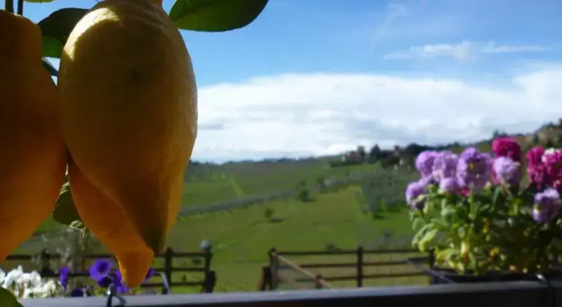 Immersi nella campagna Toscana