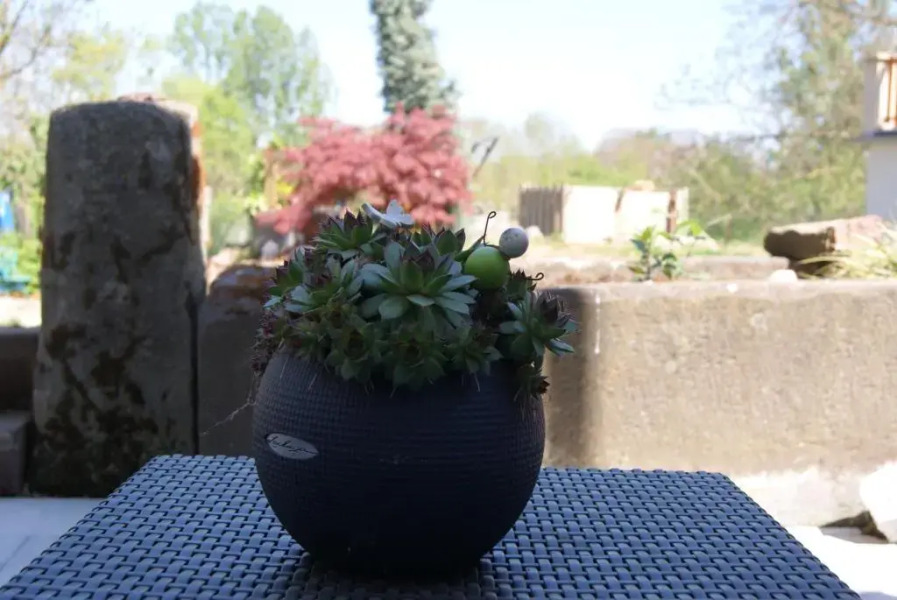 Appartement Petite Vallée