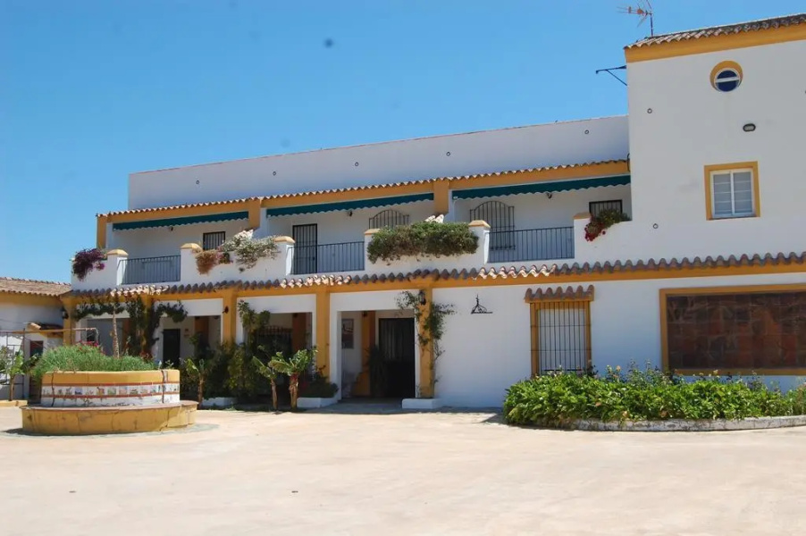 Finca la Tacita - Petunia