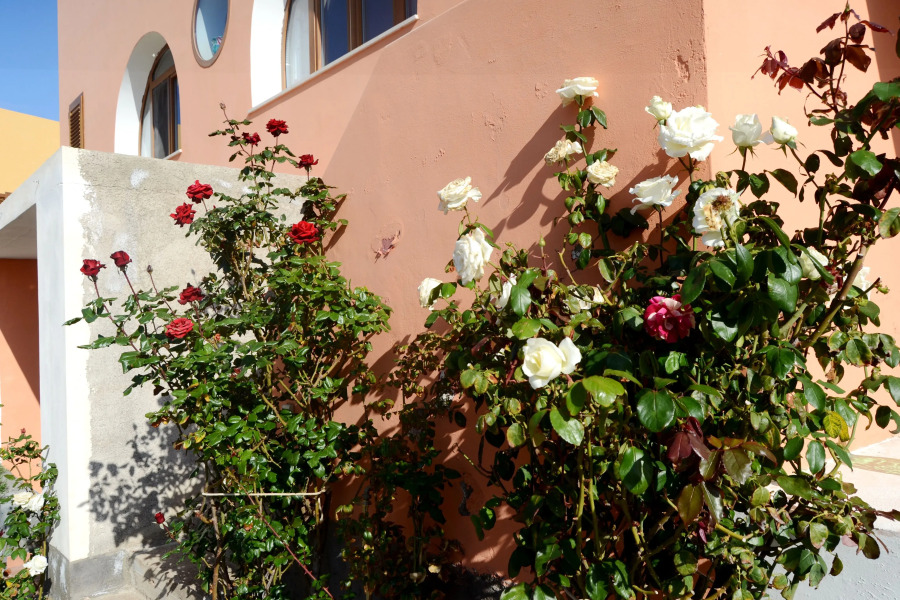 Dammusi Vicolo Vecchio