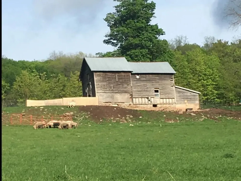 Tentrr - Emerald Views