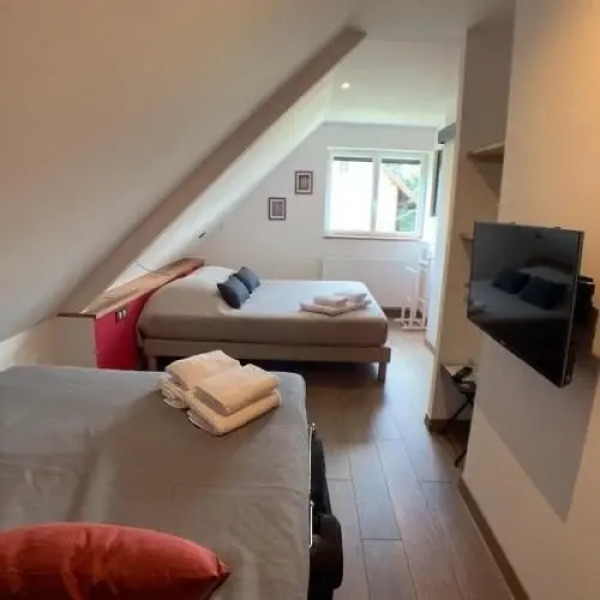 Le 11 chambre Rouge-Gorge