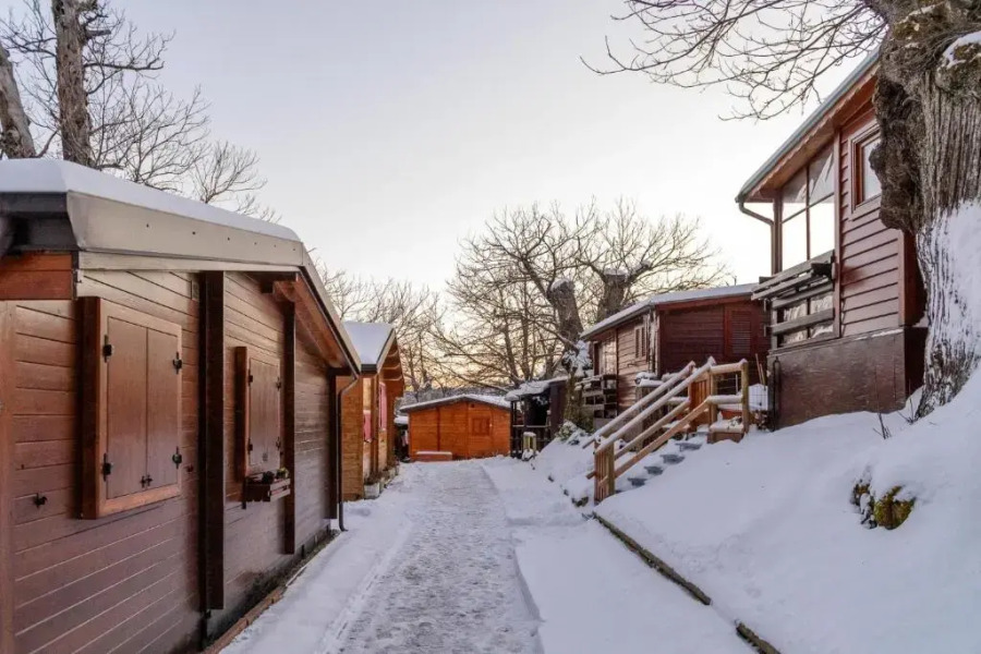 Campeggio Parco dei Castagni srl