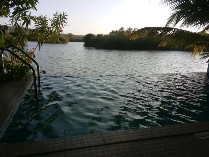 Serene Waters Goa