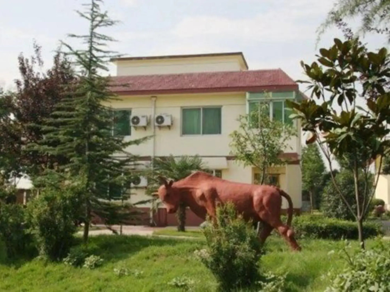 Shennong Resort