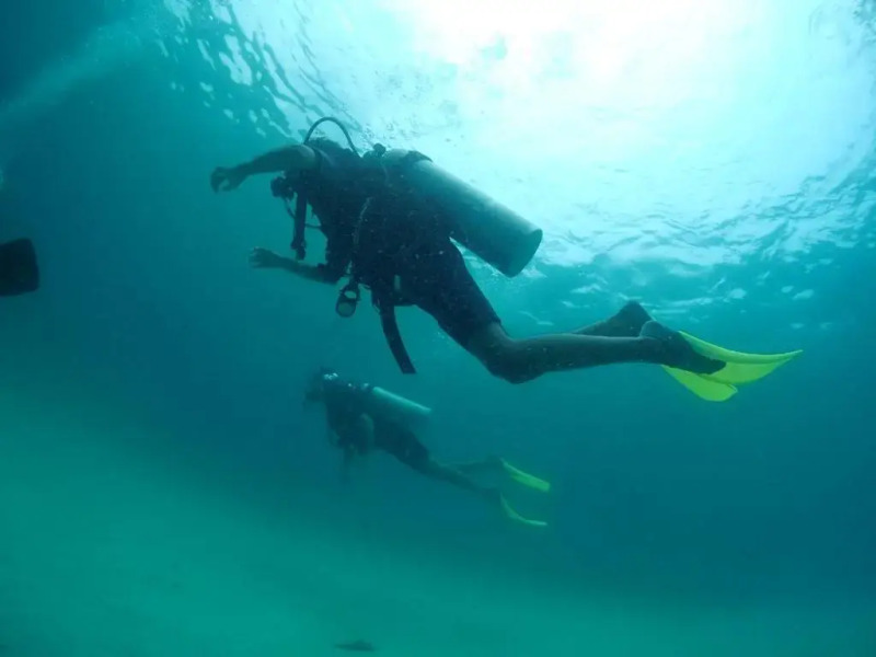 Seahorse Diver Guesthouse