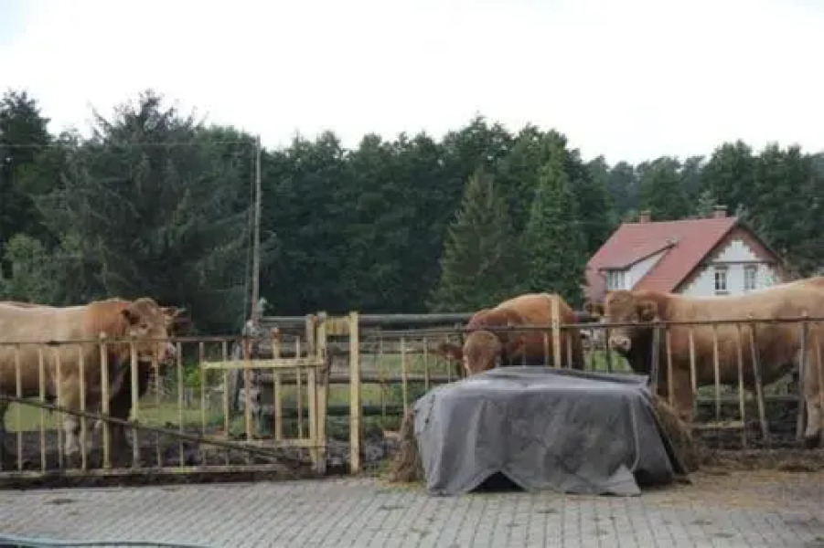 Ferienwohnung Vietgest SCHW 021