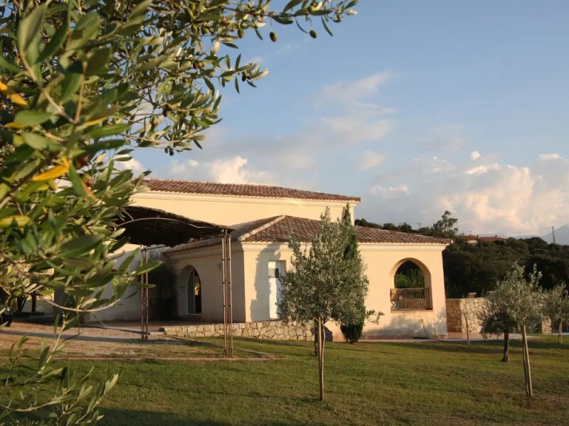 Clos des Oliviers