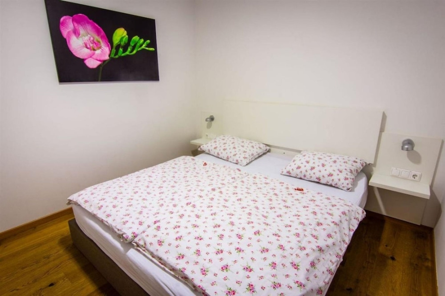Wellness Suite Orchid