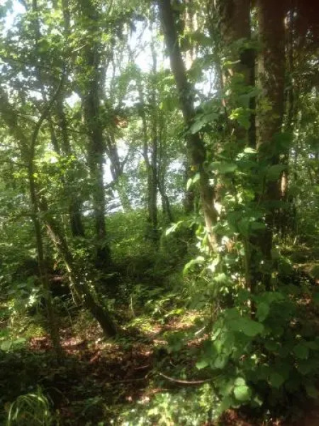 Woodside Self Catering Lough Rynn